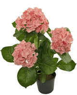 Kunstplant Hortensia Roze 35 cm