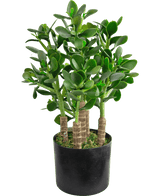 Kunstplant Jade 45 cm