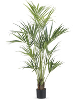 Kunstplant Kentia Palm 180 cm