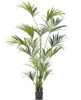 Kunstplant Kentia Palm 210 cm