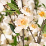 Een close-up van de Kunstplant Kersenbloesem 180 cm crème toont delicate bleke perzik en witte kersenbloesem bloemen met een geel hart op slanke bruine takken, omringd door groene bladeren.