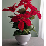 De Kunstplant Kerstster 44 cm rood, met zijn levendige rode bloemen en groene bladeren, staat op een grijs oppervlak tegen een lichtgroene muur die baadt in zacht natuurlijk licht van rechts.