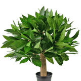 De Kunstplant Laurier UV d33 cm heeft een compact, bladgroen ontwerp met een dikke stam en levendig gebladerte, tegen een effen witte achtergrond.