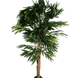 De Kunstplant Longfolia 180 cm is een kunstboom in pot.