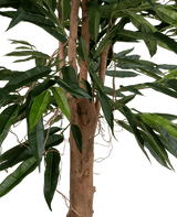 Kunstplant Longfolia 180 cm