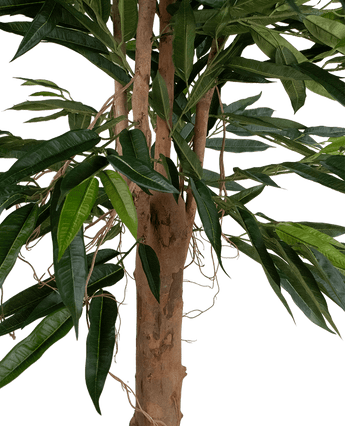 Kunstplant Longfolia 180 cm