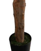 Kunstplant Longfolia 180 cm