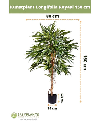 Kunstplant Longifolia Royaal 150 cm