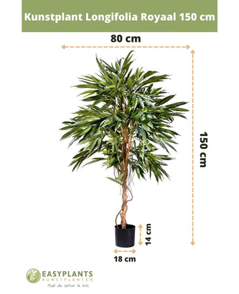 Kunstplant Longifolia Royaal 150 cm