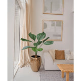 Een Kunstplant Lucuala Grandis 120 cm in een moderne pot staat naast een witte bank met beige kussens in een lichte, minimalistische woonkamer. Abstracte kunst hangt erboven en zonlicht stroomt door de hoge ramen.