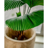 Een close-up van de Kunstplant Lucuala Grandis 120 cm in een lichtgekleurde pot, met de grote, geplooide groene bladeren bij het raam.