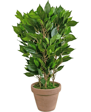 Kunstplant Mini Ficus 45 cm in pot