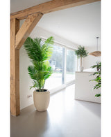 Kunstplant Phoenix 180 cm