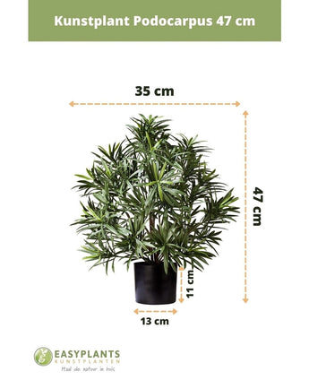 Kunstplant Podocarpus 47 cm