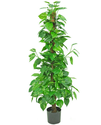 Kunstplant Pothos 150 cm