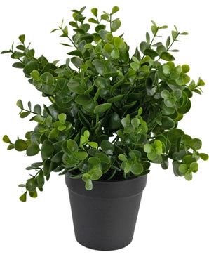 Kunstplant Pumila 25 cm