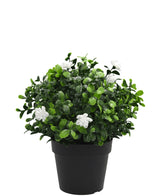 Kunstplant Pumila in pot 21cm UV