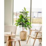 Lichte, moderne kamer met grote ramen, de Kunstplant Rubberplant 150 cm met donkergroene bladeren in een sierpot op een licht rond vloerkleed, een beige fauteuil, houten bijzettafel met kop en schotel en een houten stoel met kussen.