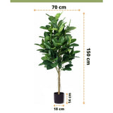Kunstplant Rubberplant 150 cm met donkergroene bladeren in een stijlvolle zwarte pot. Hoogte: 150 cm, breedte: 70 cm, potdiameter: 18 cm, pothoogte: 14 cm-ideaal voor sierpotten.
