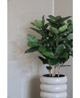Kunstplant Rubber deluxe 90 cm