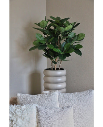 Kunstplant Rubber deluxe 90 cm