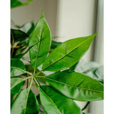 Close-up van enkele heldergroene, glanzende bladeren met zichtbare nerven aan de Kunstplant Schefflera 150 cm, tegen een onscherpe achtergrond bij een raam.