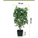 Kunstplant Schefflera 150 cm in een zwarte pot van 150x70x18 cm met weelderige groene bladeren. Hoogte pot: 14 cm. Merk Easyplants Kunstplanten.