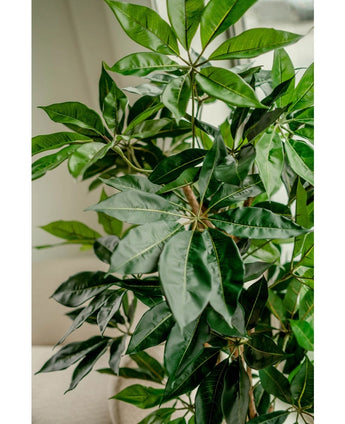 Kunstplant Schefflera 150 cm