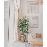 Een moderne, minimalistische woonkamer met grote ramen, een witte bank met beige kussens, een pot met gouden textuur met de Kunstplant Schefflera 150 cm, abstracte muurkunst en een geweven hanglamp boven je hoofd.