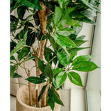 Een close-up van de Kunstplant Schefflera 150 cm met brede groene bladeren in een lichte houten pot, geplaatst bij een raam met natuurlijk licht dat de weelderige bladeren accentueert.