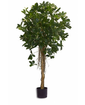 Kunstplant Schefflera klein blad 150 cm