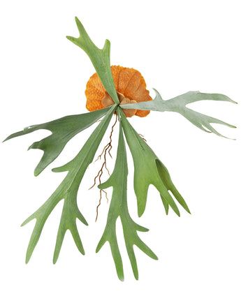 Kunstplant Staghorn 53 cm