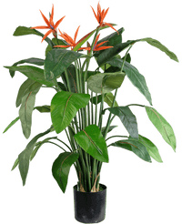 Kunstplant Strelitzia 120 cm