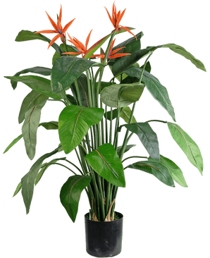 Kunstplant Strelitzia 120 cm