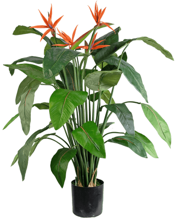 Kunstplant Strelitzia 120 cm