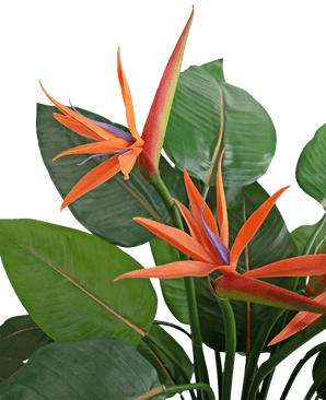Kunstplant Strelitzia 120 cm