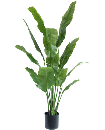 Kunstplant Strelitzia Nicolai Deluxe 170 cm