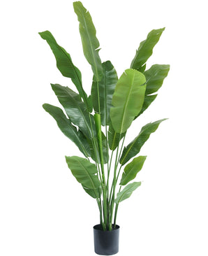 Kunstplant Strelitzia Nicolai Deluxe 185 cm