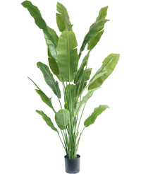 Kunstplant Strelitzia Nicolai Deluxe 215 cm