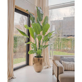 De Kunstplant Strelitzia Nicolai Deluxe 235 cm met brede groene bladeren staat bij grote ramen, in een pot met gouden textuur naast een beige bank met kussens met patroon, en voegt stijl en groen toe aan deze moderne woonkamer.