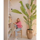 Een vrouw in een roze trui en spijkerbroek zit op een houten stoel naast de Kunstplant Strelitzia Nicolai Deluxe 235 cm; boekenplanken en transparante gordijnen versterken het zacht verlichte interieur.