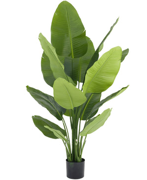 Kunstplant Strelitzia Real Touch Deluxe 150 cm