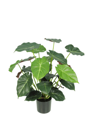 Kunstplant Syngonium 58 cm