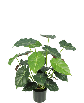 Kunstplant Syngonium 58 cm