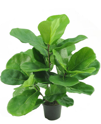 Kunstplant Tabaksplant Fiddle Leaf 45 cm