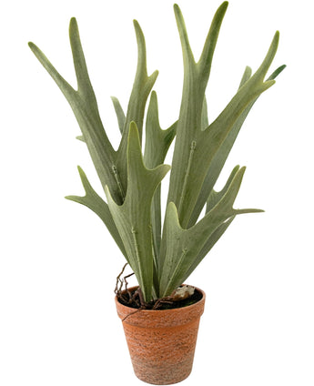 Kunstplant Varen Staghorn 43 cm