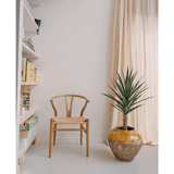 Een Kunstplant Yucca 100 cm UV met stekelige groene bladeren staat naast een houten stoel in een lichte, minimalistische kamer met lichte gordijnen bij het raam en boekenplanken aan de linkerkant.