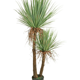 De Kunstplant Yucca Deluxe 153 cm heeft twee hoge, bruine stammen met textuur en trossen lange, puntige groene bladeren en wat verdroogde onderste bladeren tegen een witte achtergrond.