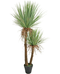 Plante artificielle Yucca Deluxe 153 cm