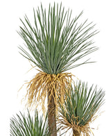 Kunstplant Yucca deluxe 182 cm